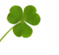 shamrock_small3