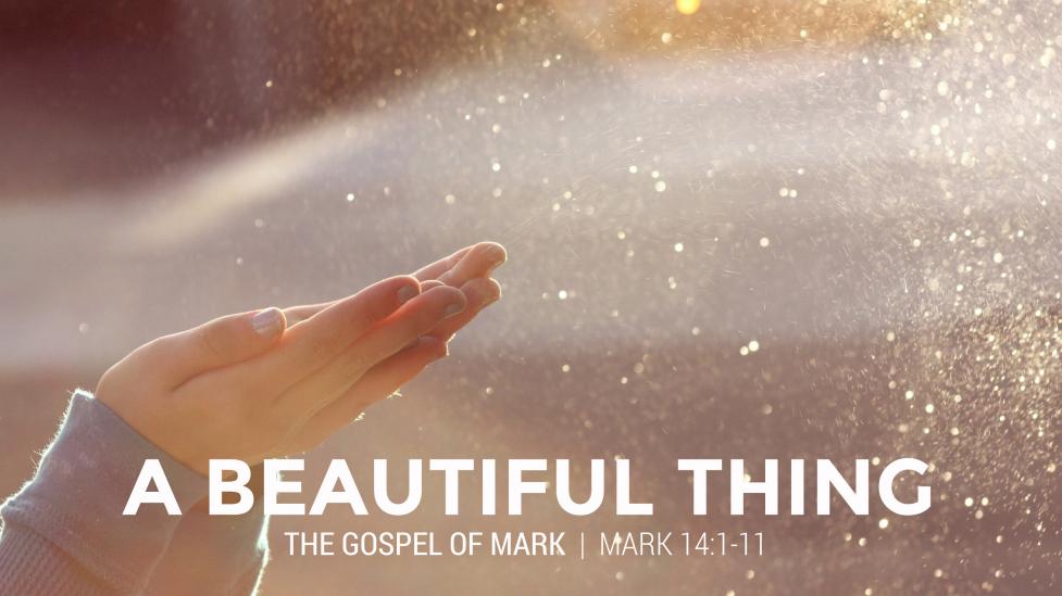 beautiful-ms