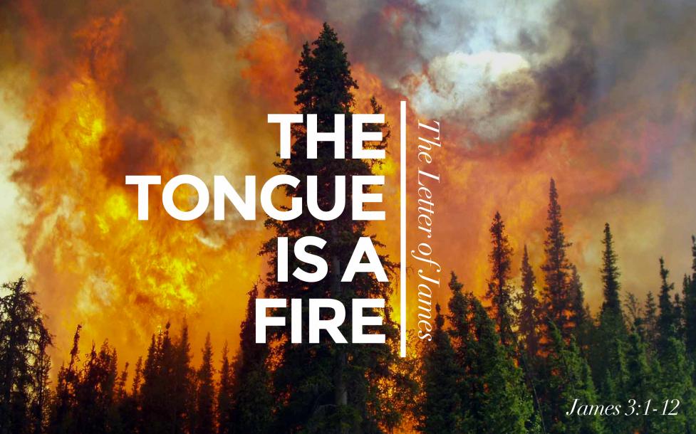 fire-ms